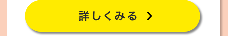 詳しく見る