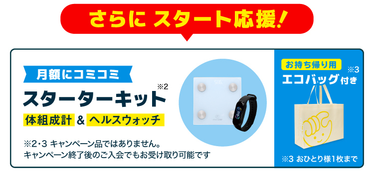 月額費にコミコミ